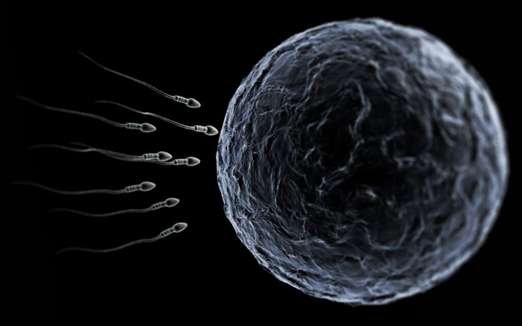 Natural fertility with the help of journaling