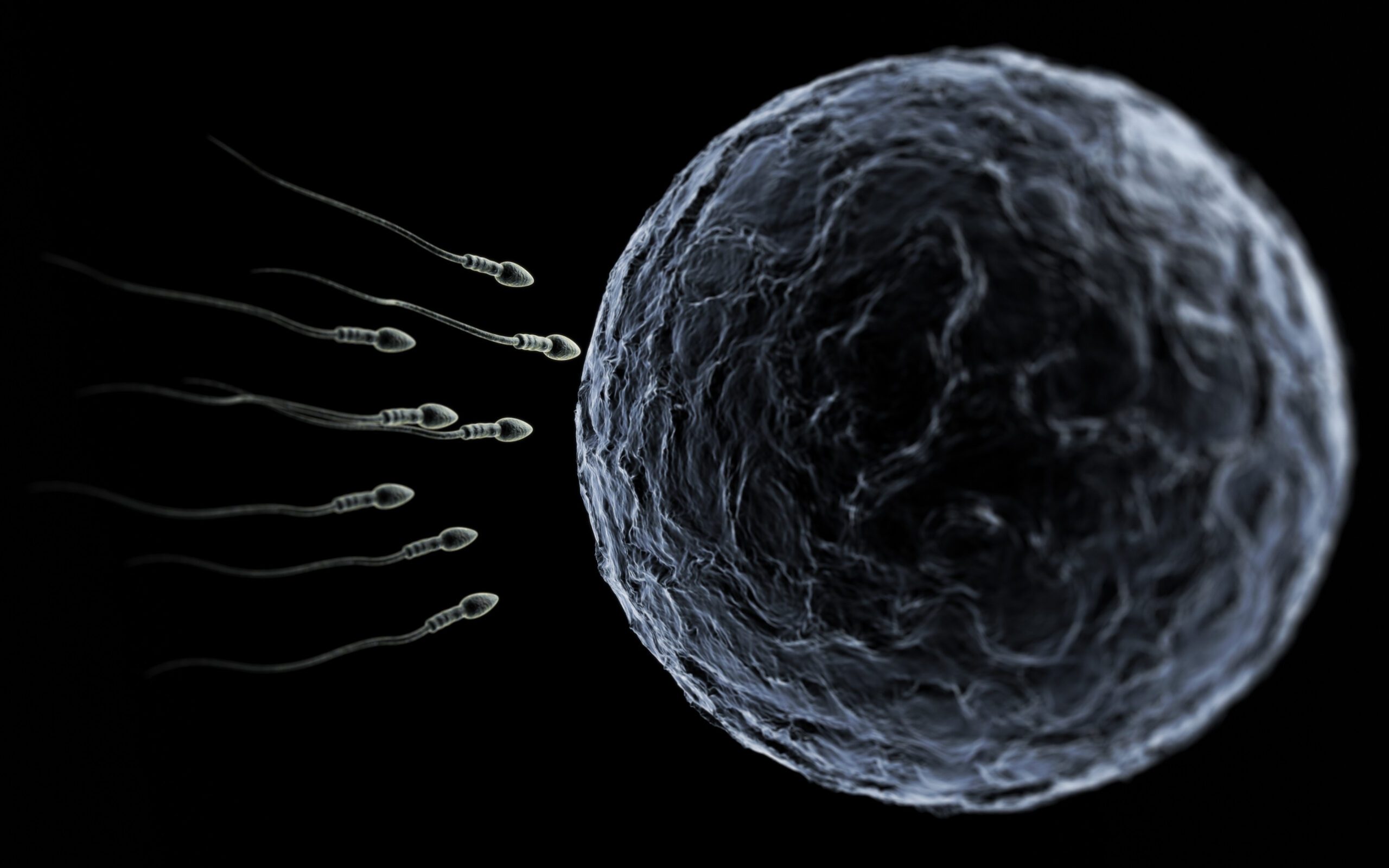 IVF Burnout: The Loop No One Prepares You For