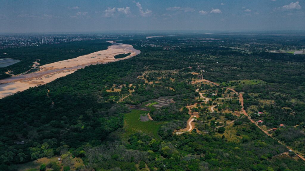 View from a small plane window over unbroken Amazon canopy and a winding brown river in southern Colombia