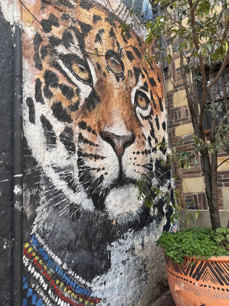 In Bogotá's oldest neighborhood, the Amazon is already on the walls.