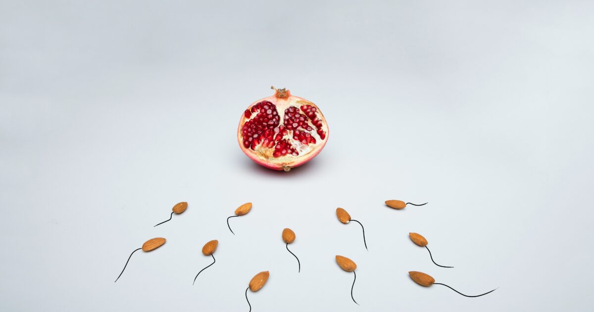 The Sperm Production Cycle: Why the 90 Days Before Conception Matter More Than the Day Itself