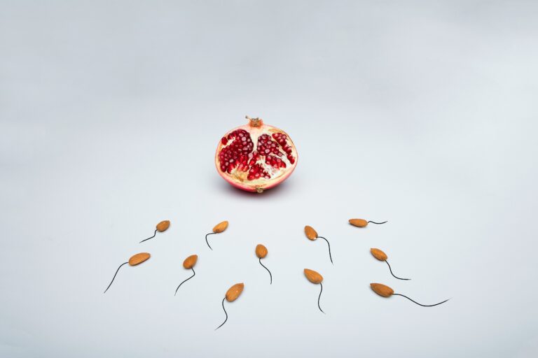 The Sperm Production Cycle: Why the 90 Days Before Conception Matter More Than the Day Itself